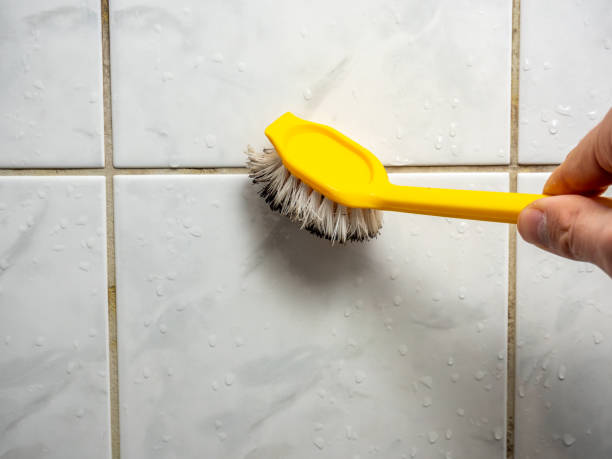 Best Professional Mold Removal  in Brundidge, AL