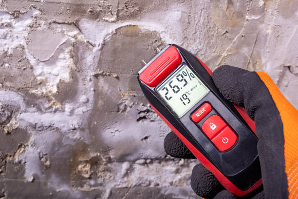 Best Mold Testing  in Brundidge, AL